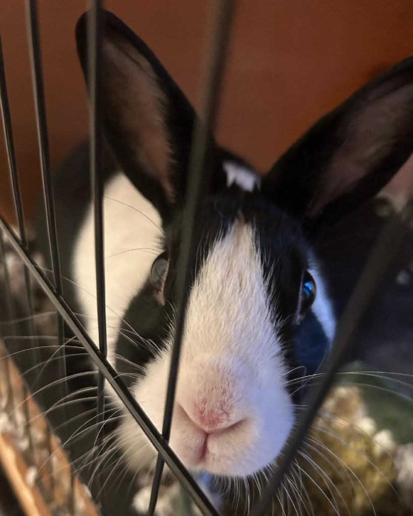 Lila "Baby Bun" Blanton
