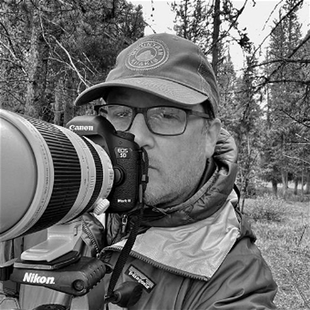 Gregory Daniel Meyer