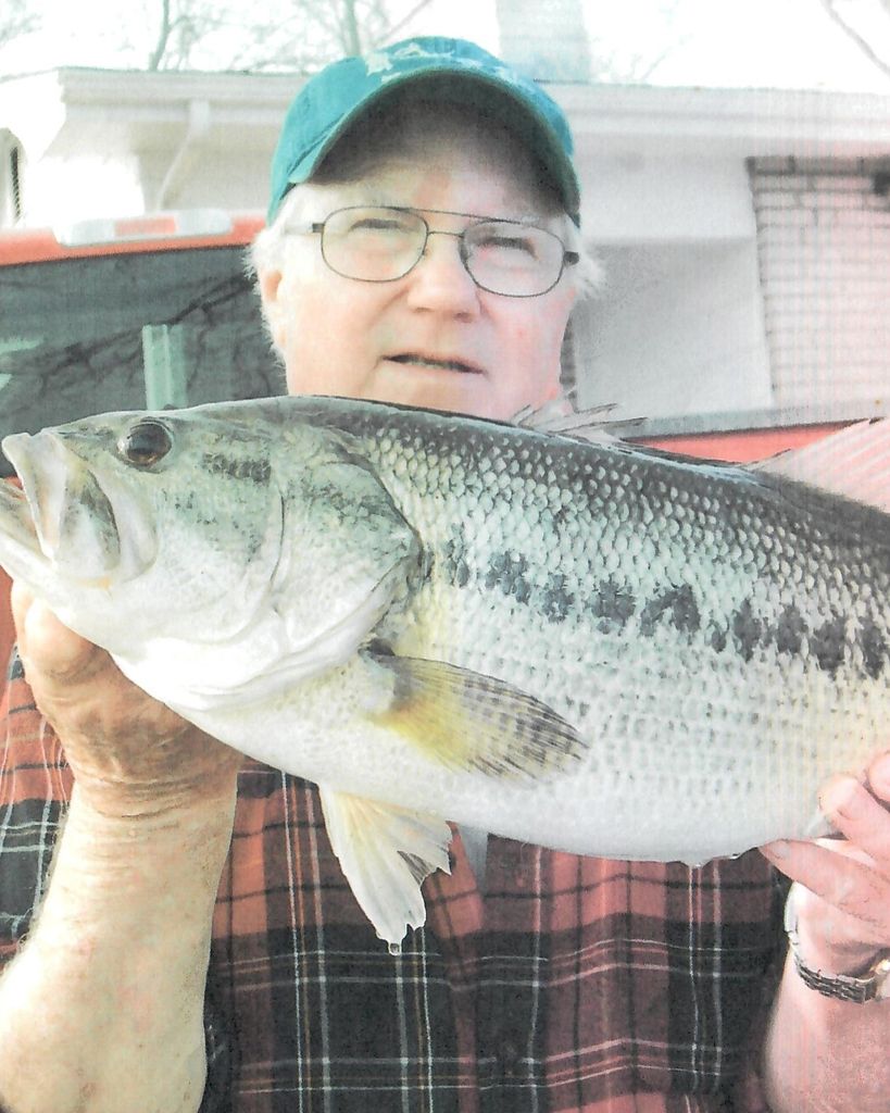 Joe Bob Hayes Profile Photo