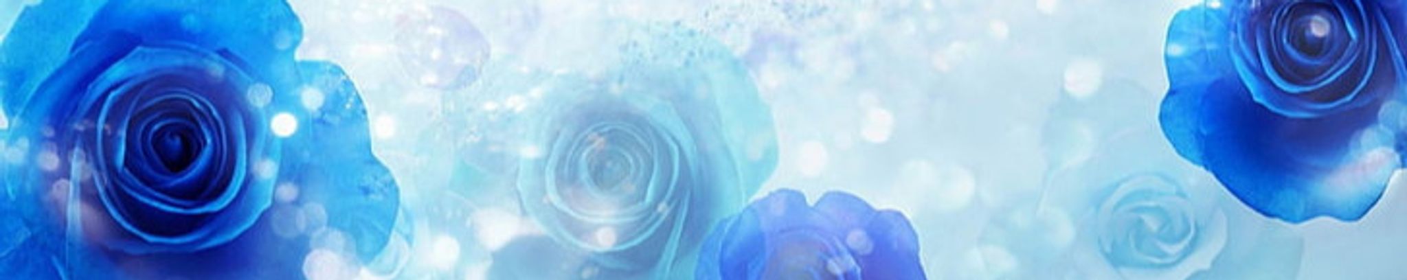 Cover photo for Wendy Lou McGinnis's Obituary