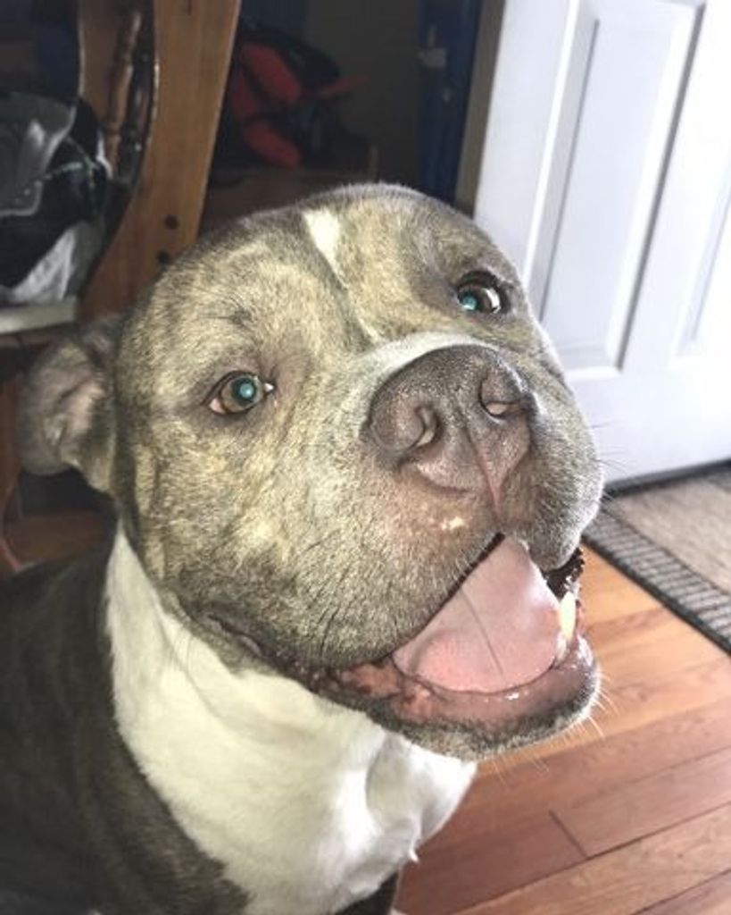 Zeus Lucke