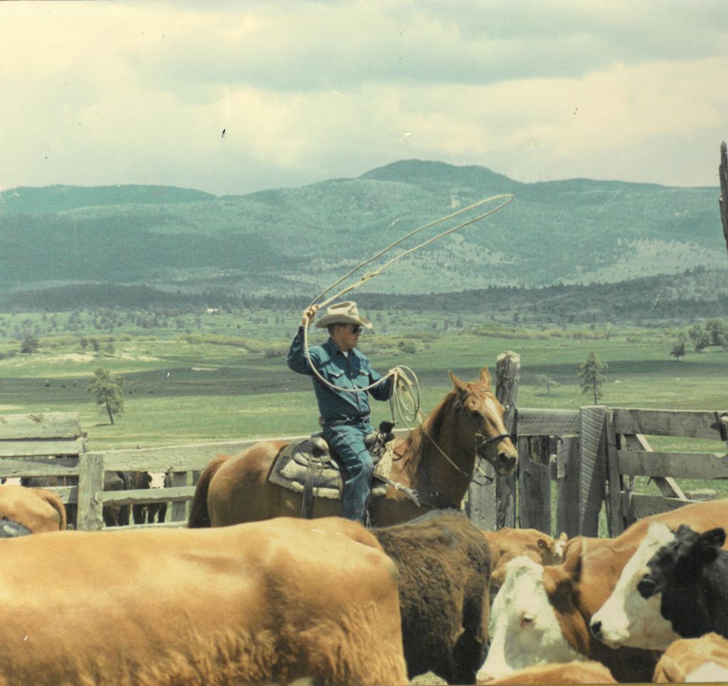 Raymond L. Howard