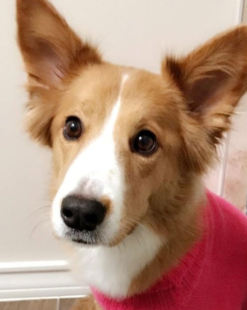 Peaches 🖤 Profile Photo