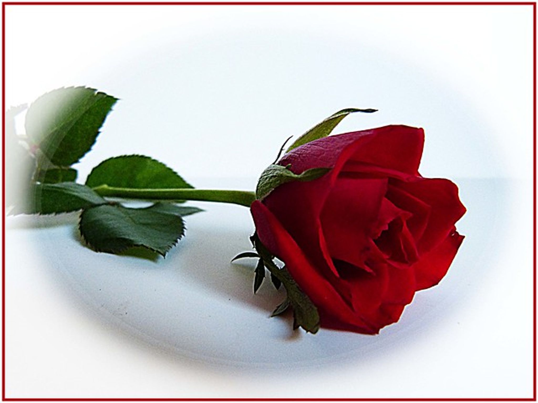 Cover photo for Crystal Gail Taylor's Obituary