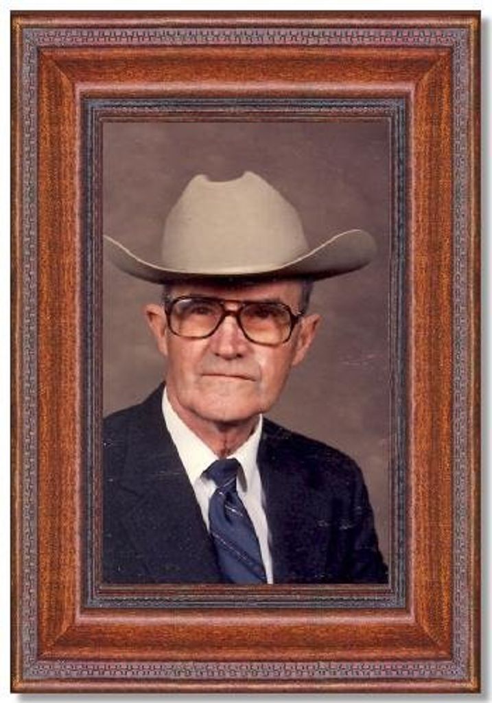 Robert Davis Webb