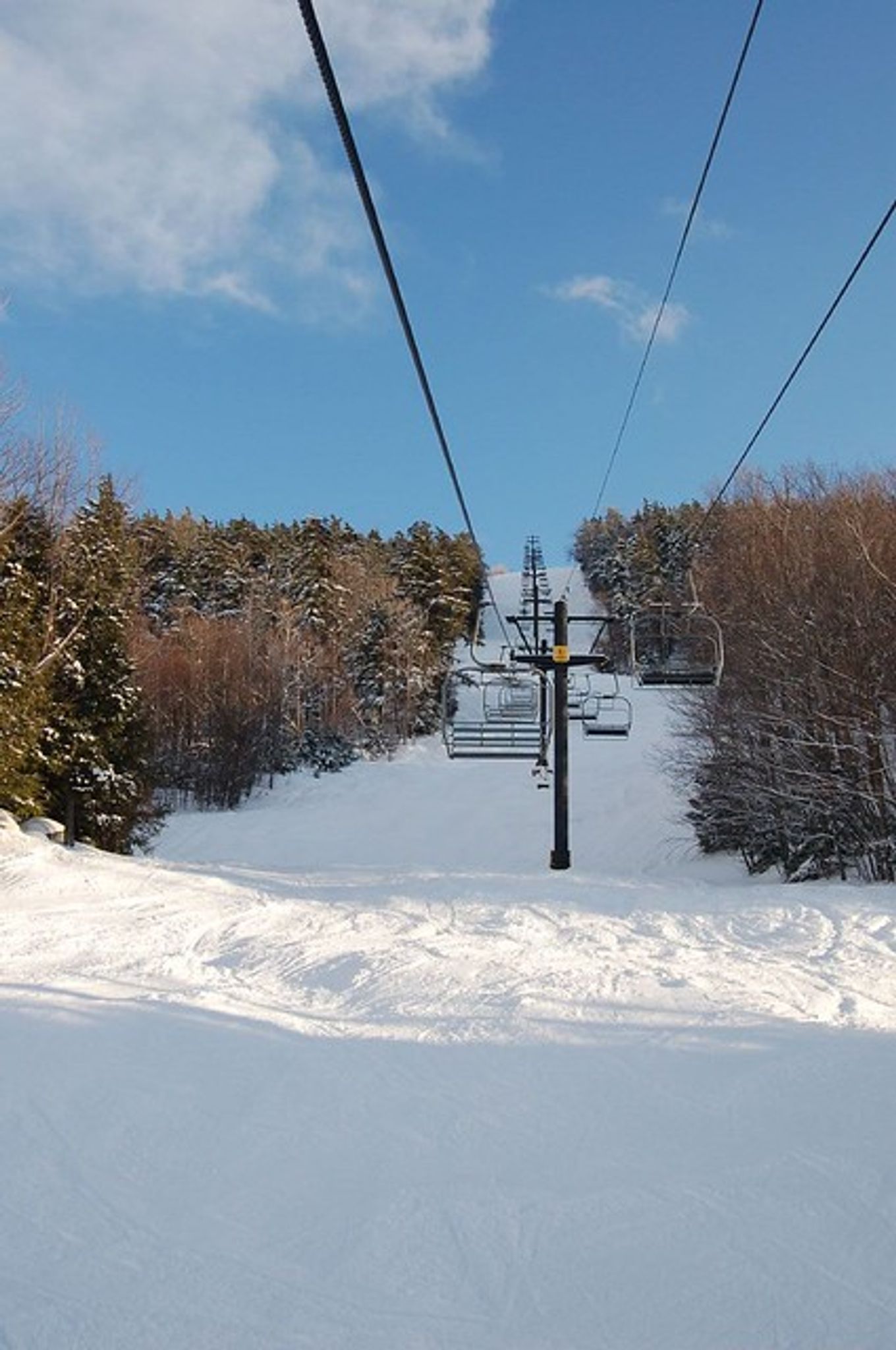 Cover for Daniel W O'Connor's Obituary