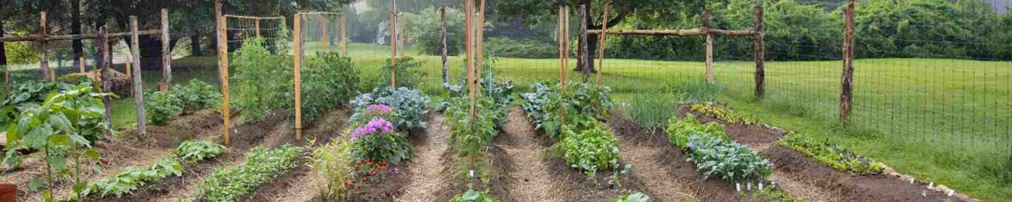 Cover for Stanley "Duke" Farrell's Obituary