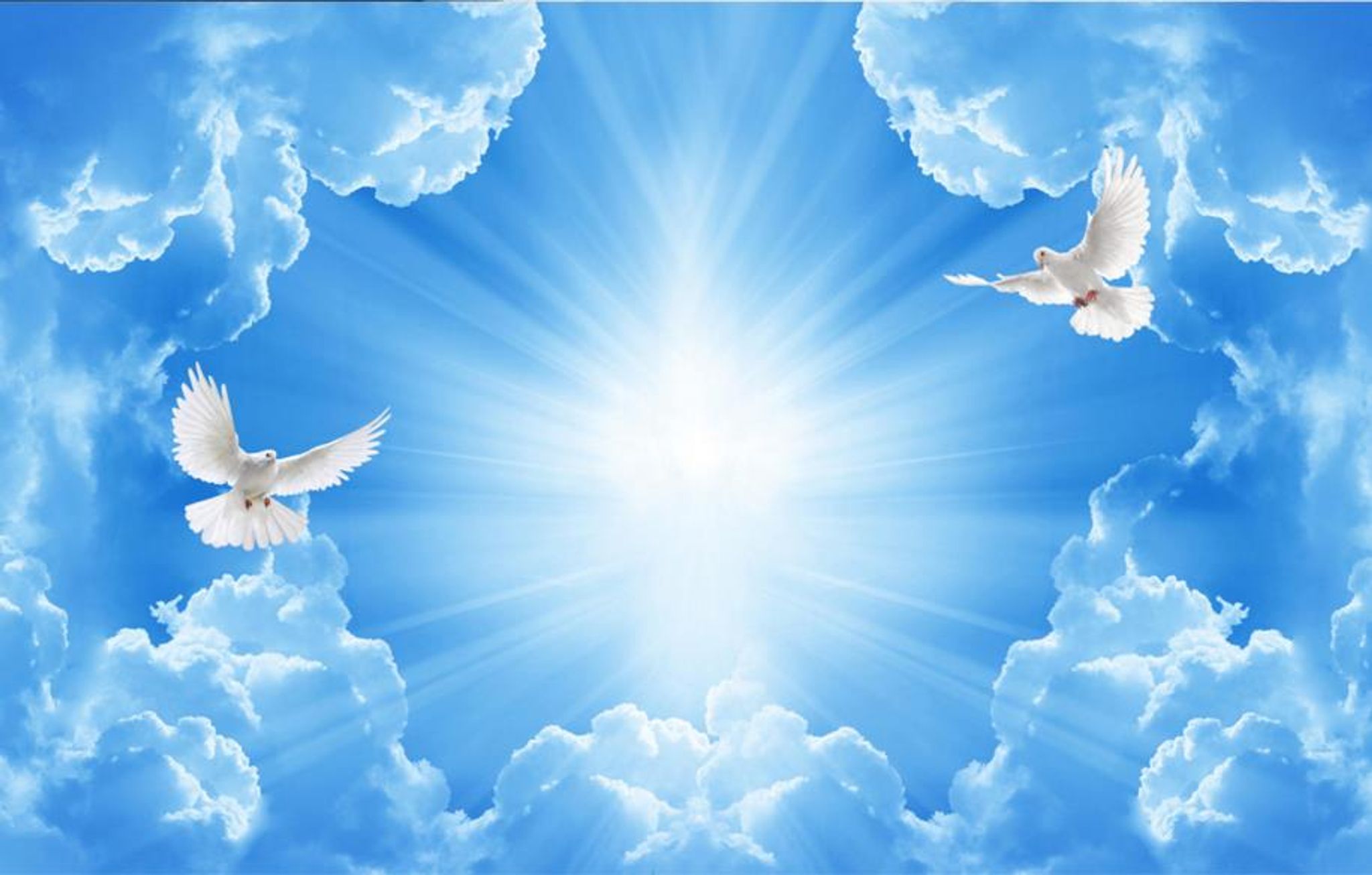 Cover for Joseph S. Zita's Obituary