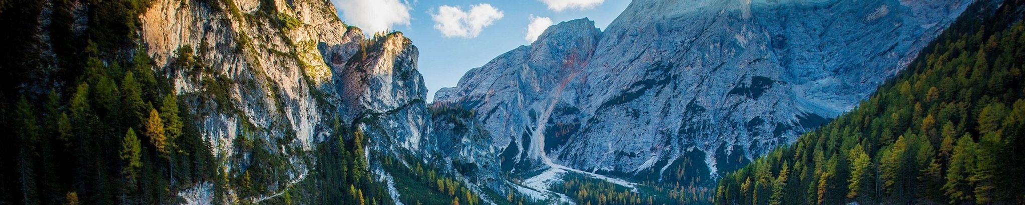 Cover for Scott Robin Fry's Obituary