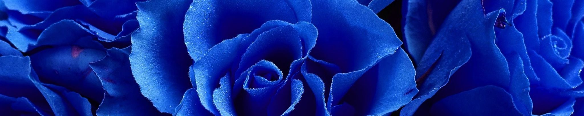 Cover photo for Brenda Joyce Crane's Obituary