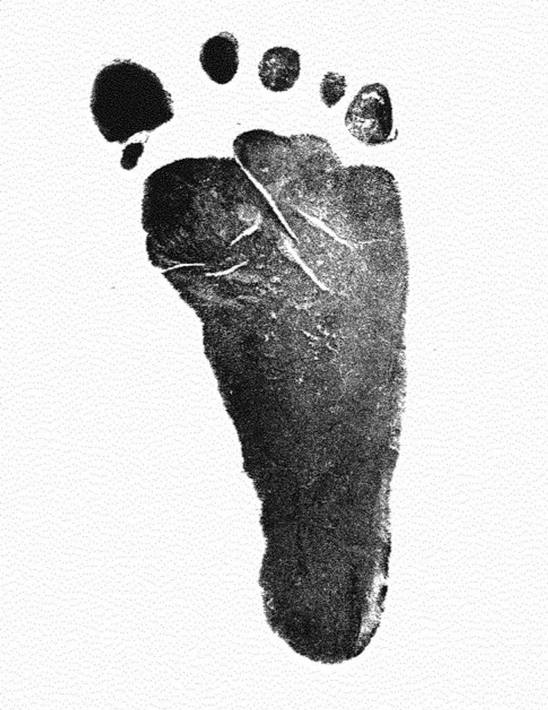 Amberlee Dawn Mae Hatfield
