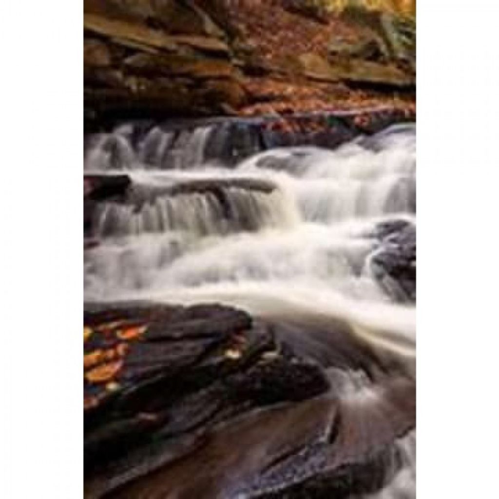 Bertha Matilda Porter Profile Photo