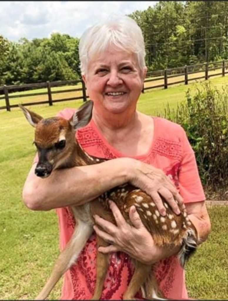 Janet Sherman Profile Photo