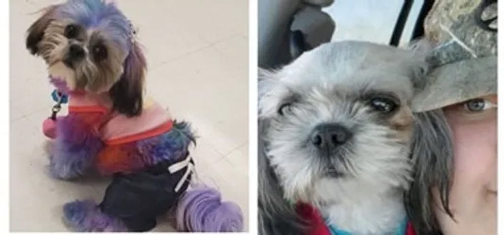 Minnow Profile Photo