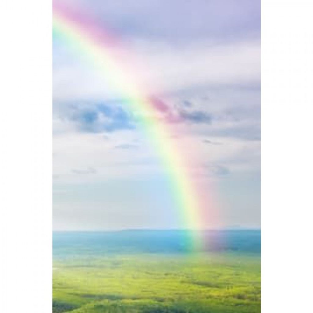 Edwin Toro Rivera Profile Photo