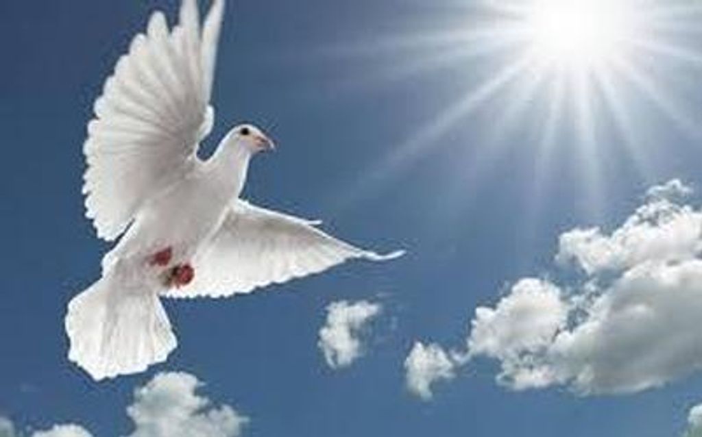 Peter James Terpack Profile Photo