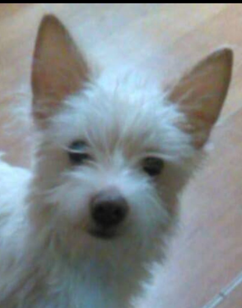 Lola Mcdowell Profile Photo