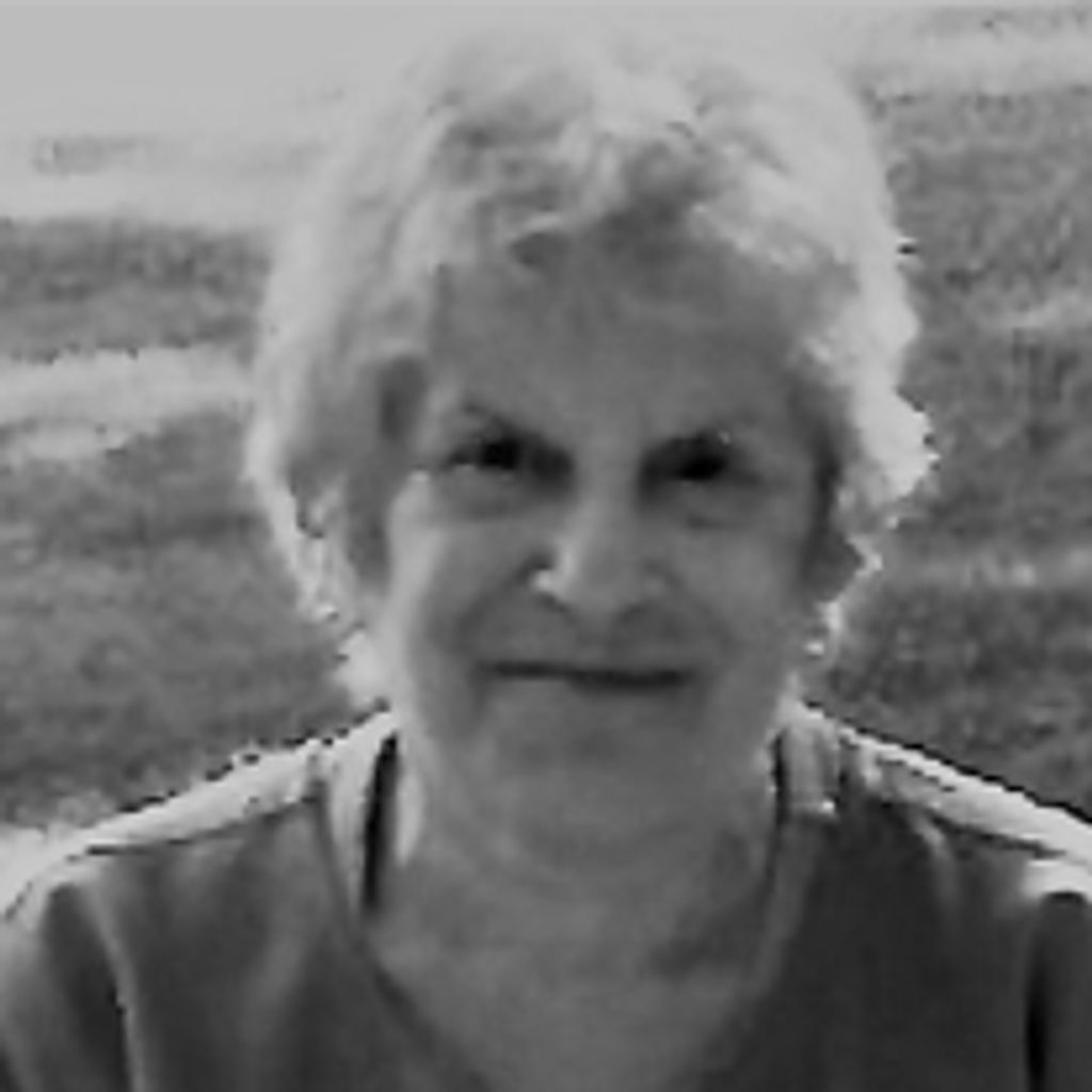 Joyce E. Havlick