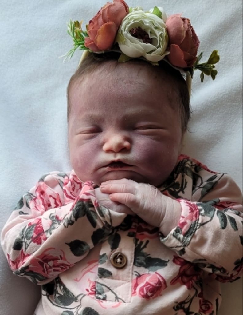 Ellithia Joe King