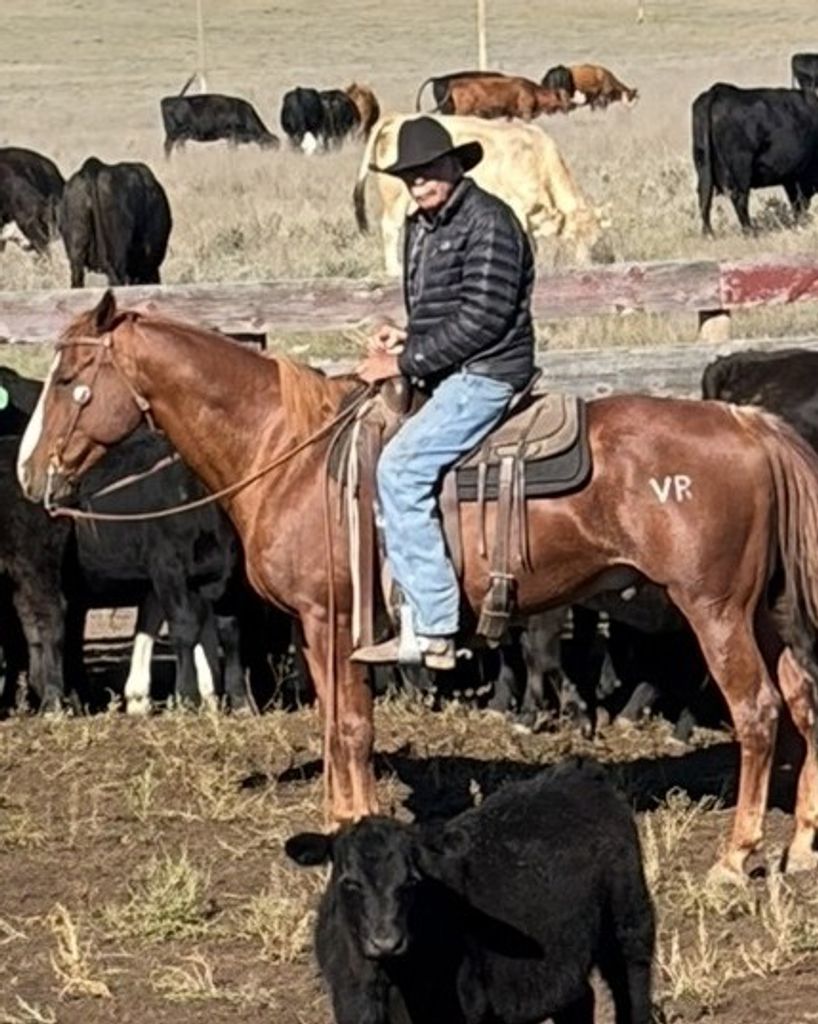 Ted Holman Profile Photo