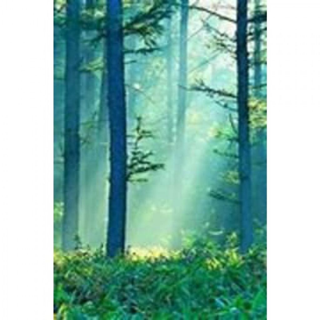 Charles W. Coon Profile Photo