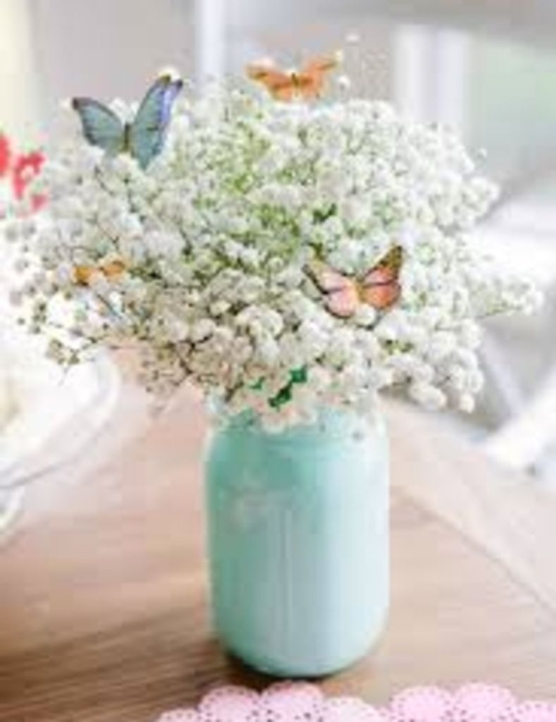 Jeannette Elizabeth Ficarelli