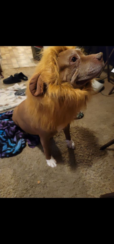 Tyson Profile Photo