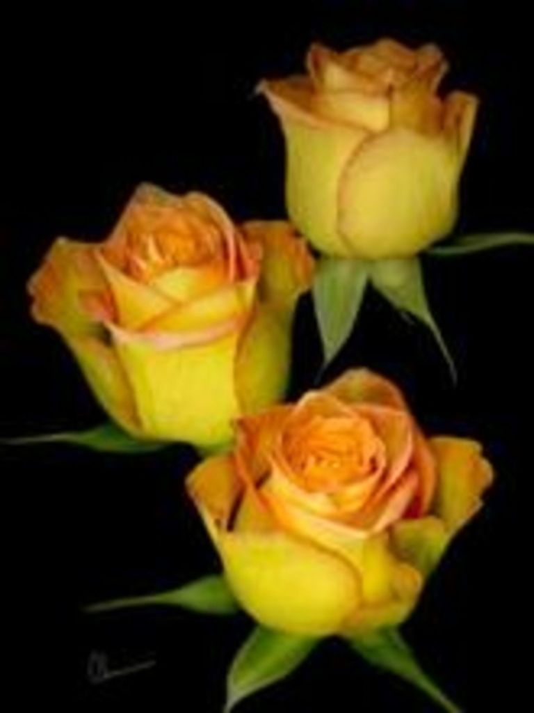 Earnesteen Chandler (Honeycutt) Profile Photo