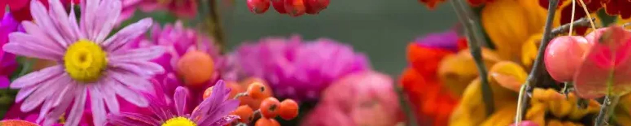 Cover photo for Linda Vigil-Grimes's Obituary