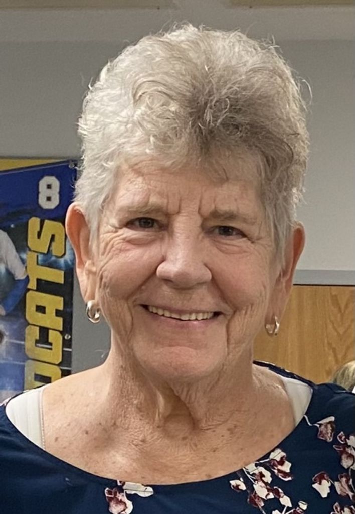 Patricia Ann (Mcelhaney)  Verner