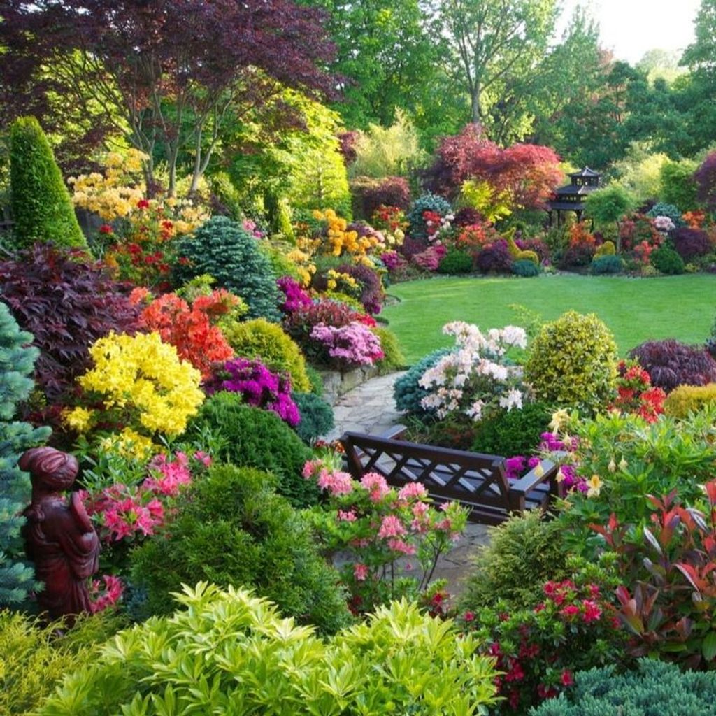 Dawn Michelle Hook Profile Photo