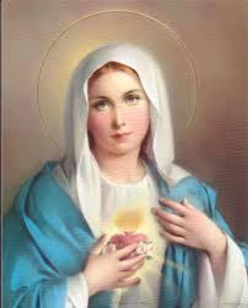 Olive Ann (Mcgovern) Schneider, Cp Sr Profile Photo