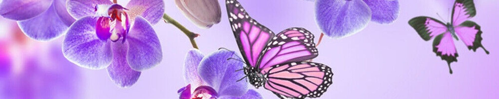 Cover photo for Diane Marie Skaar's Obituary