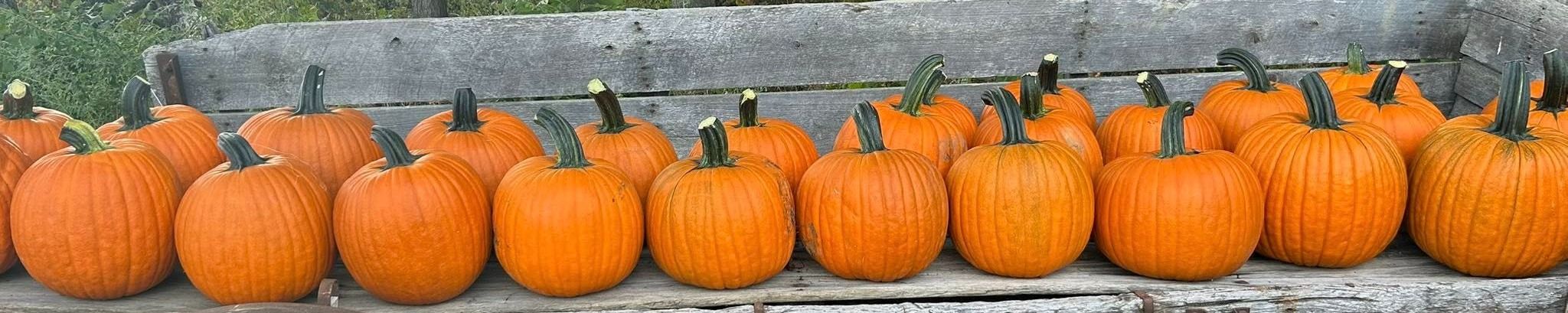 Cover for Mr. John "Johnny" Thomas Gingles's Obituary