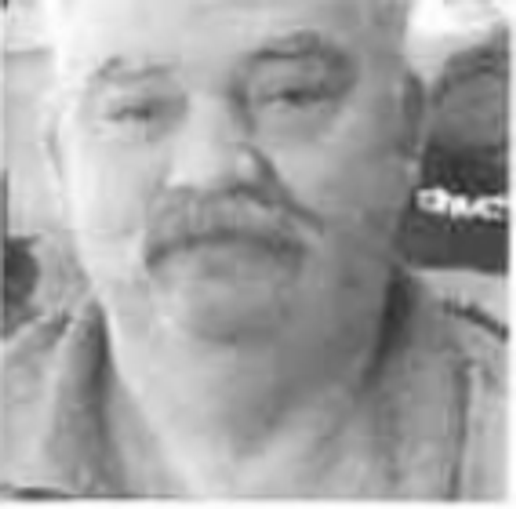 Roy Boscaino