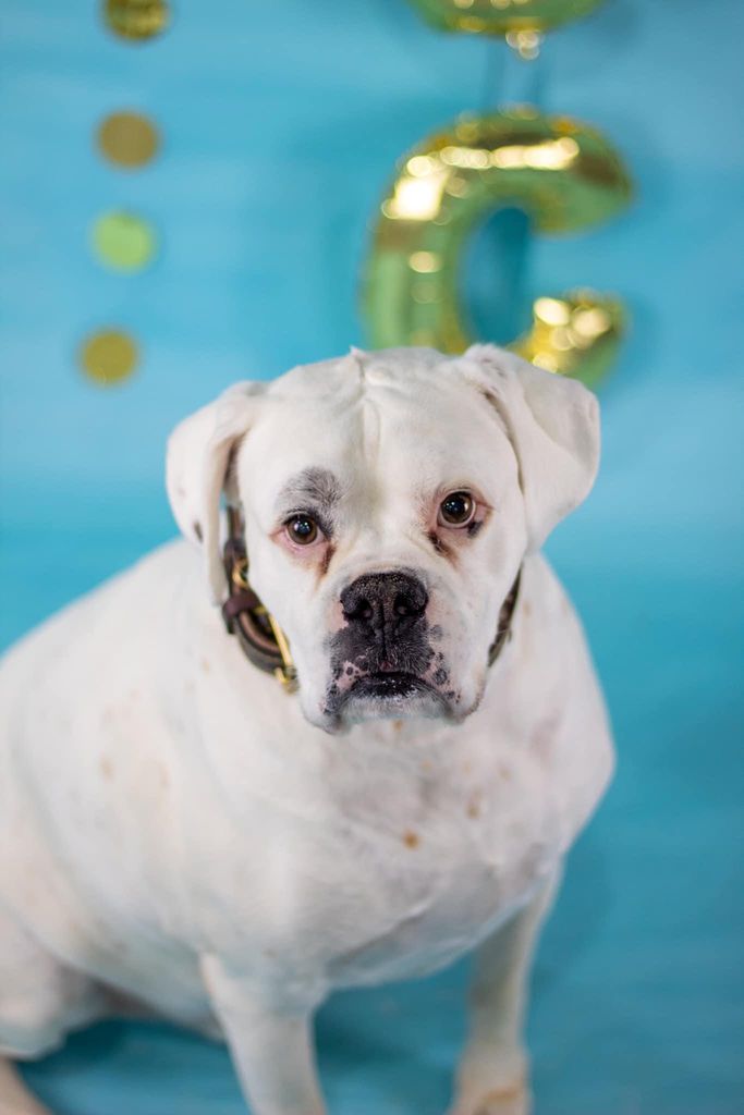 Augustus "Gus" Baca Profile Photo