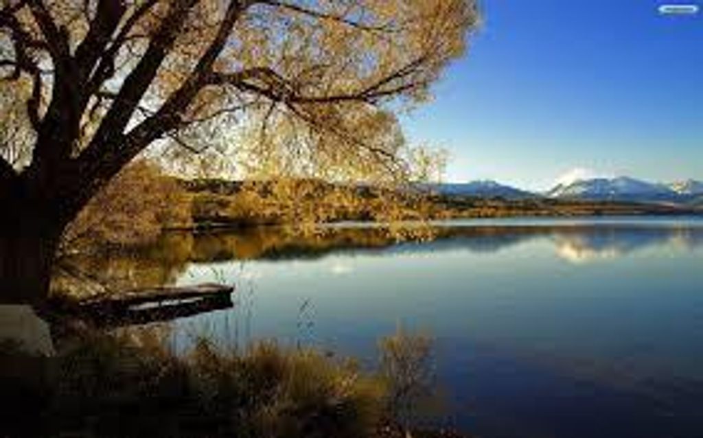 Richard L. Baril Profile Photo