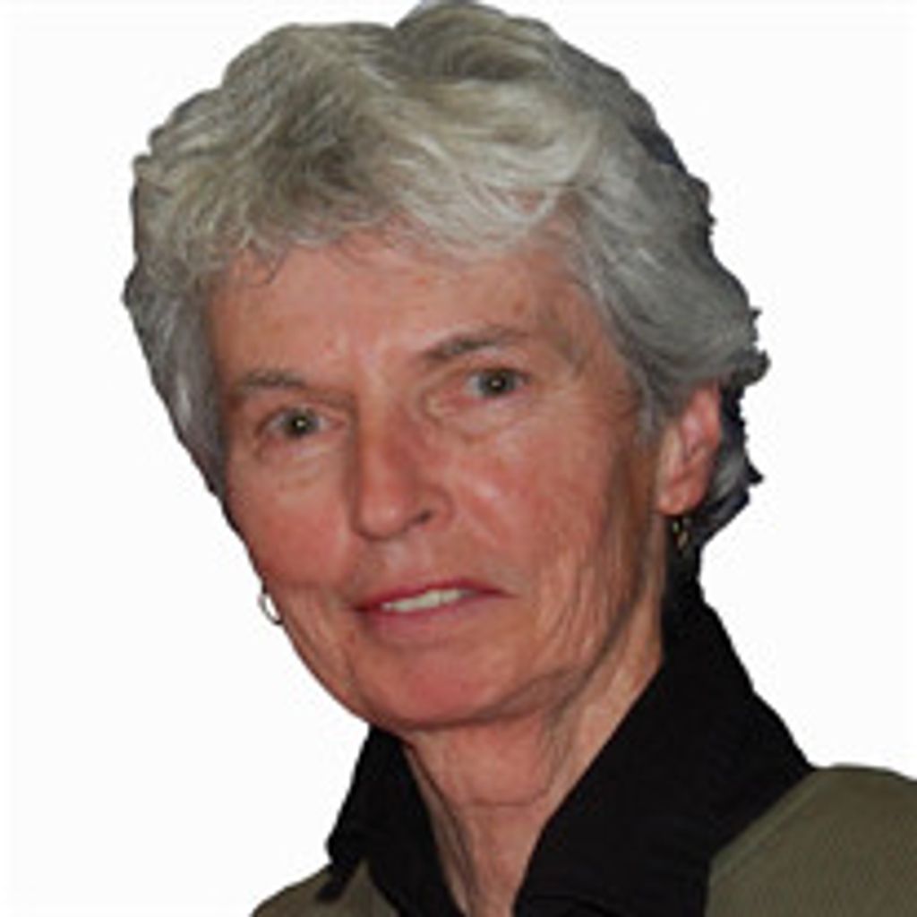 Sally Ann Healey