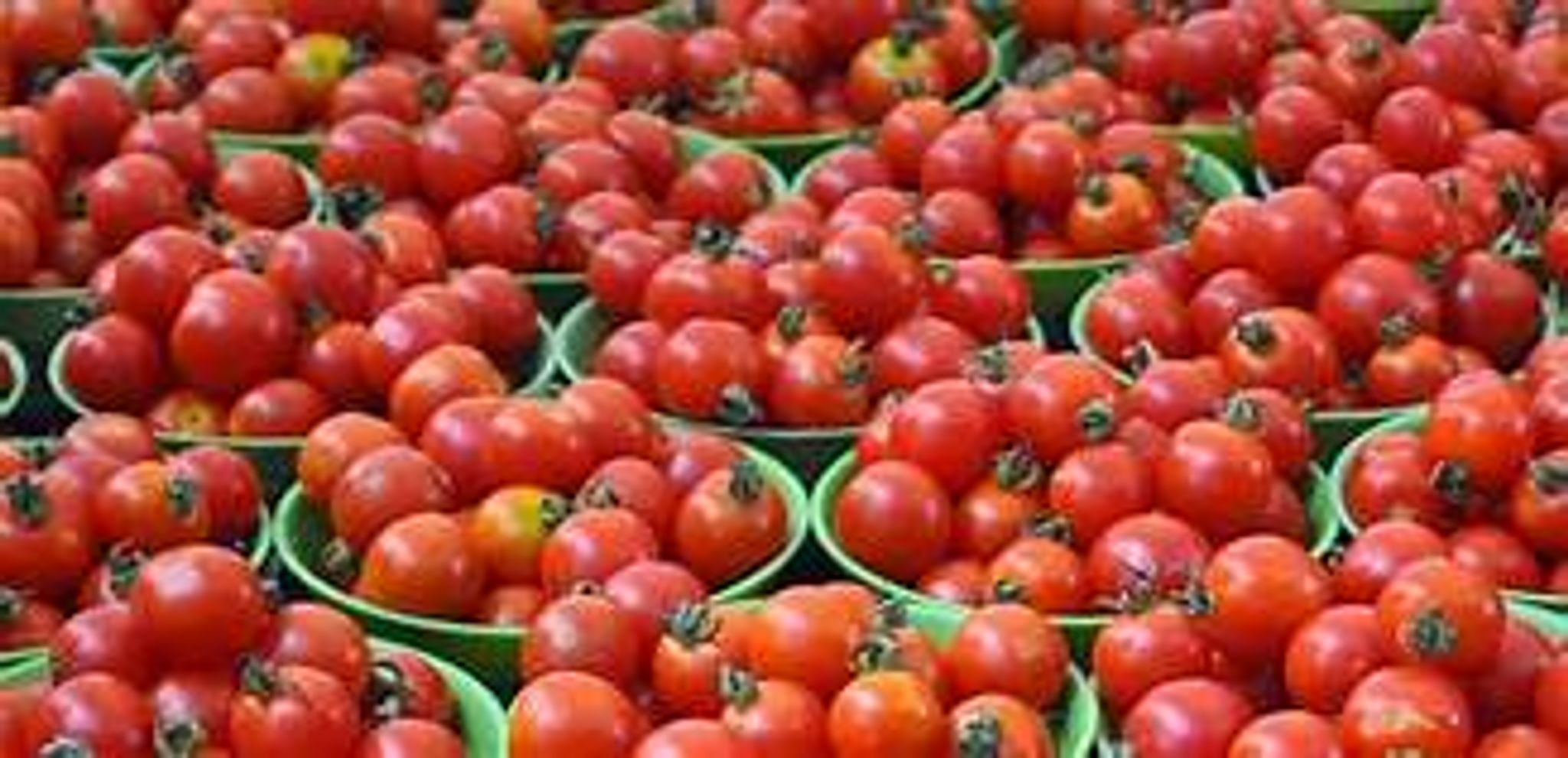 Cover for Wayne Carter "The Tomato King"'s Obituary