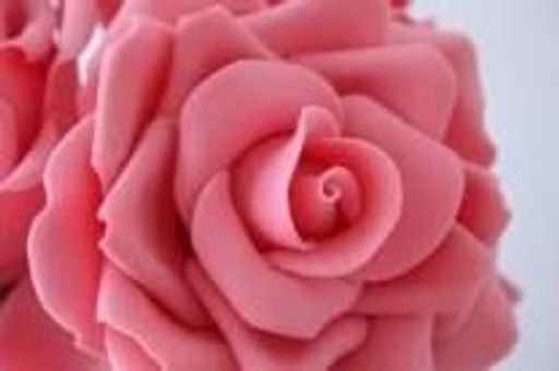 Obituaries - Phaneuf