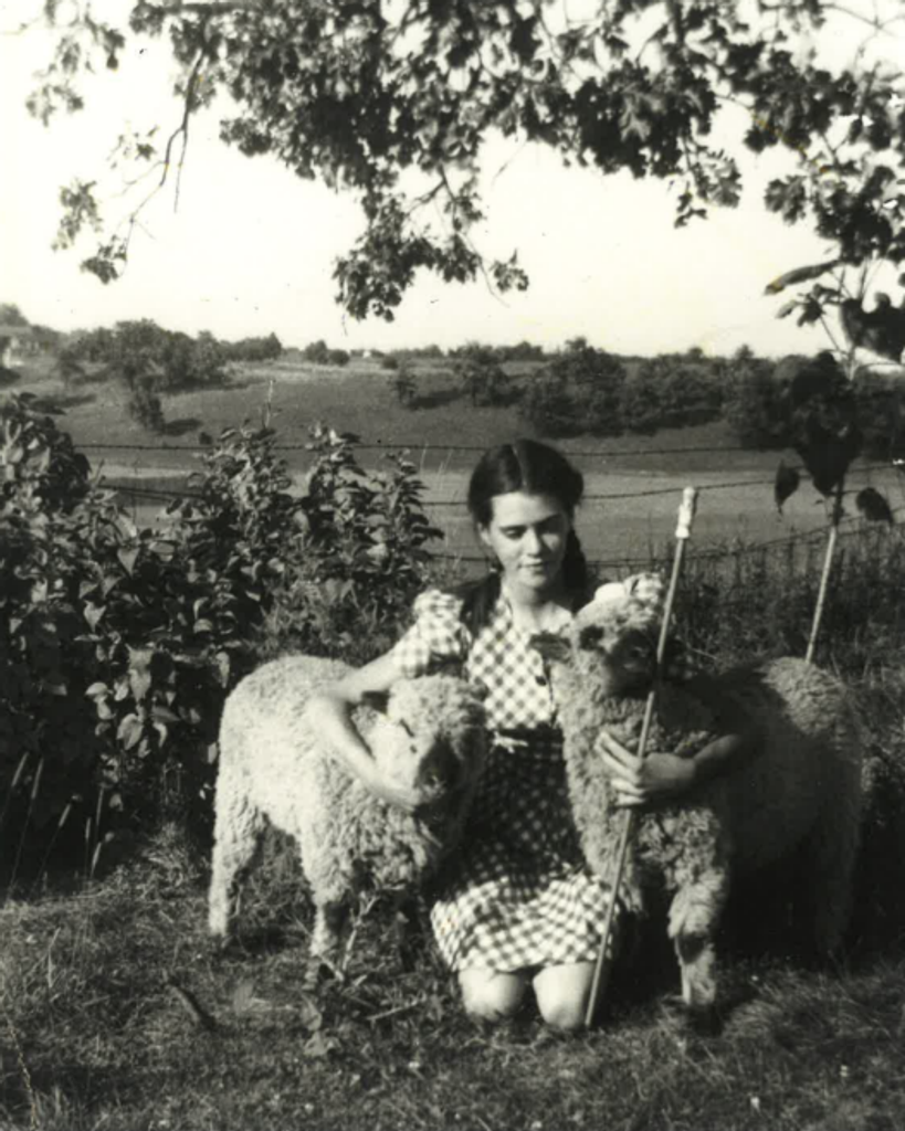 Alice Jean Fairchild Profile Photo
