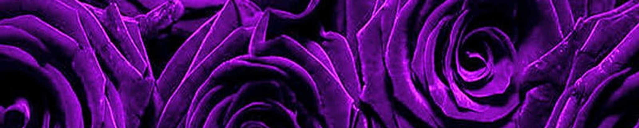 Cover for Kathryn Posey's Obituary