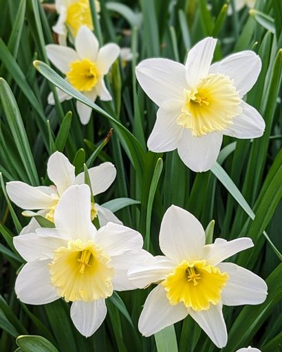 Karen Lynn Pierson's obituary image