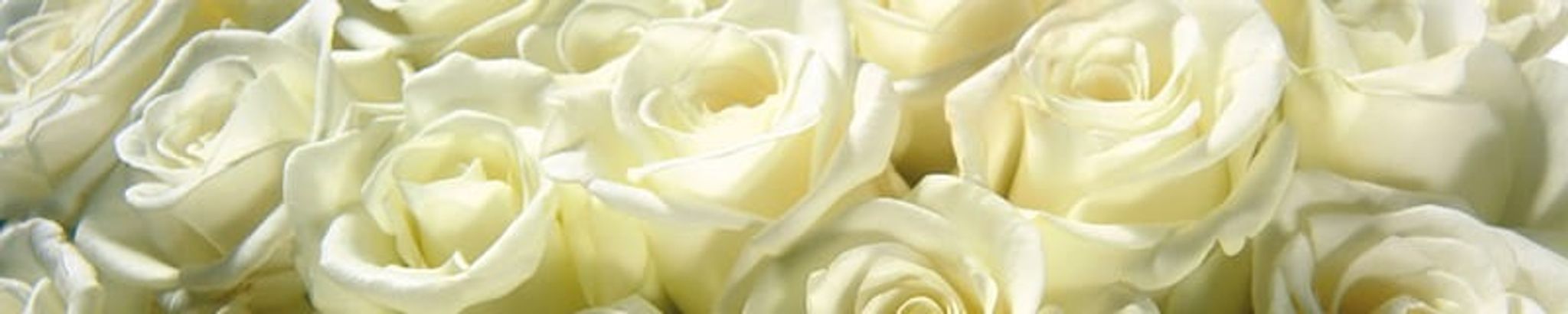 Cover photo for Hilda C. Chavez's Obituary