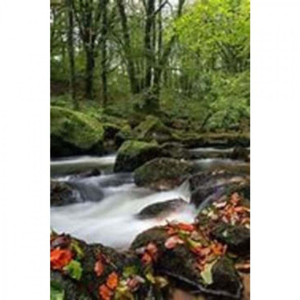 Marie E Guntner Profile Photo