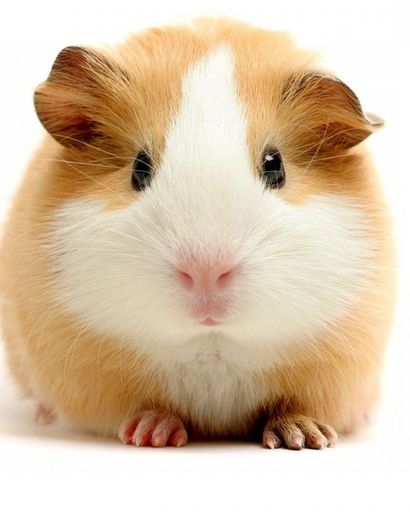 Eric Lee Zink Profile Photo