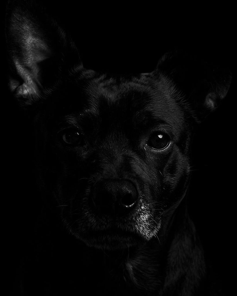 Gotham Profile Photo