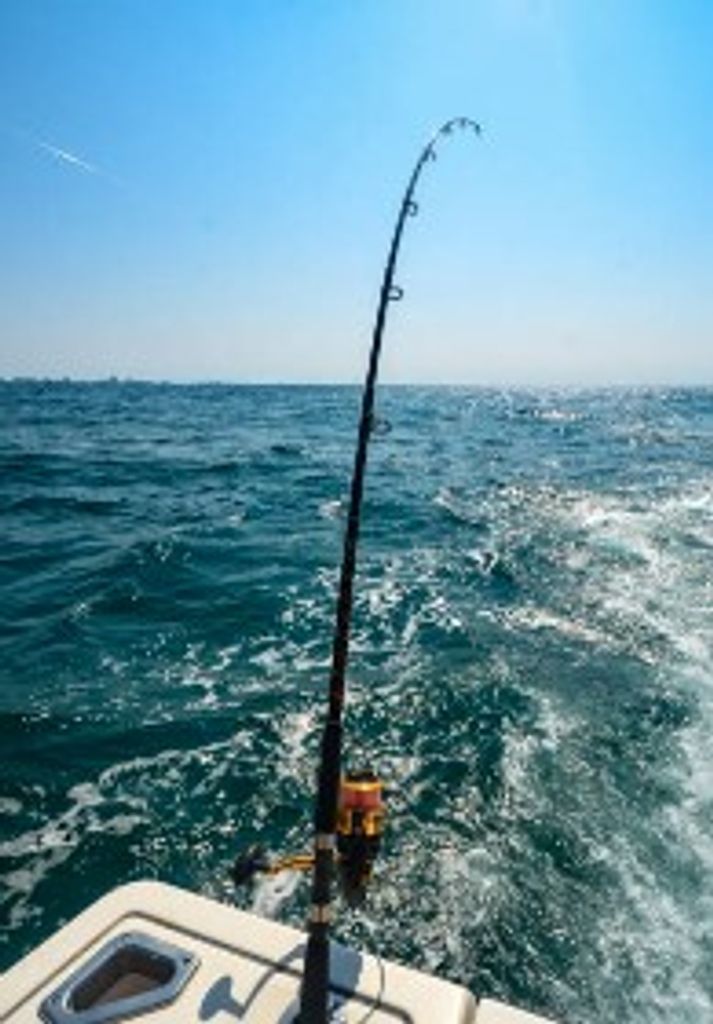 Todd Michael Williams Profile Photo