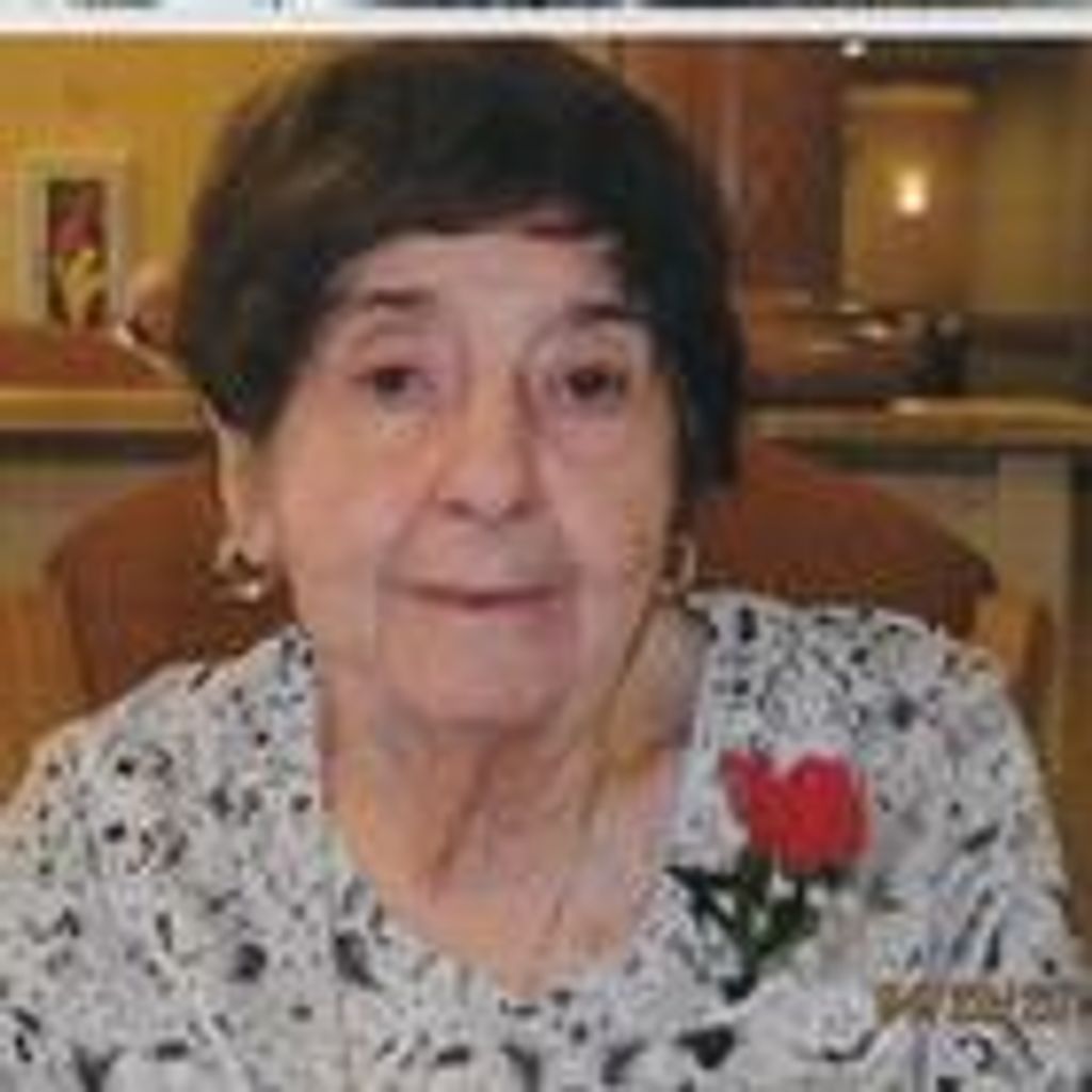Paula Y. Dohar