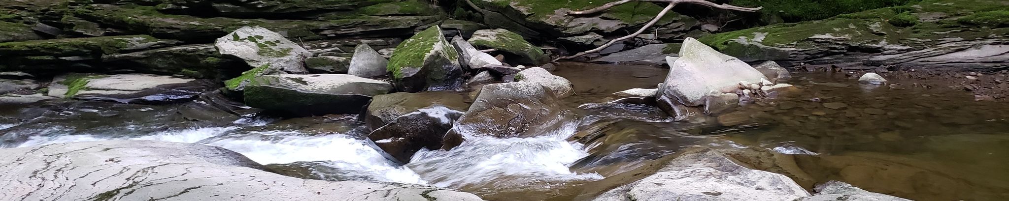 Cover for Rodney Alan Swartley's Obituary